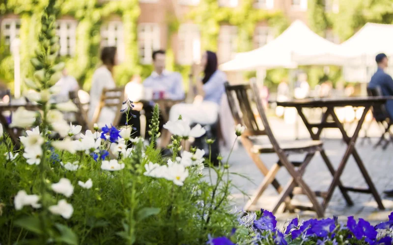 people-enjoying-outdoor-cafe-on-sunny-day-2026-01-05-04-48-37-utc